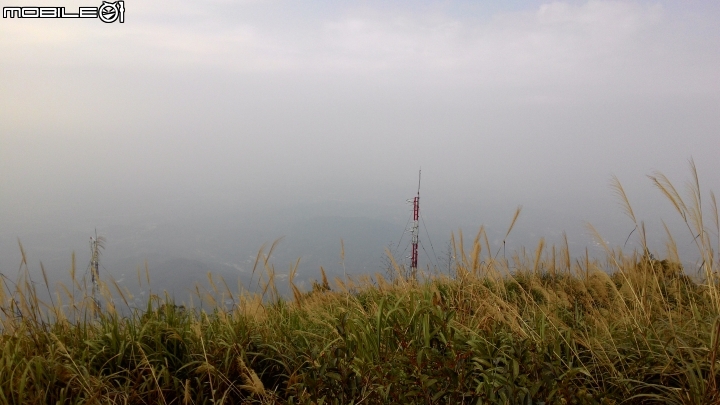 行動派~2+2方式~騎陽春七速小折,挑戰雲嘉二尖山!