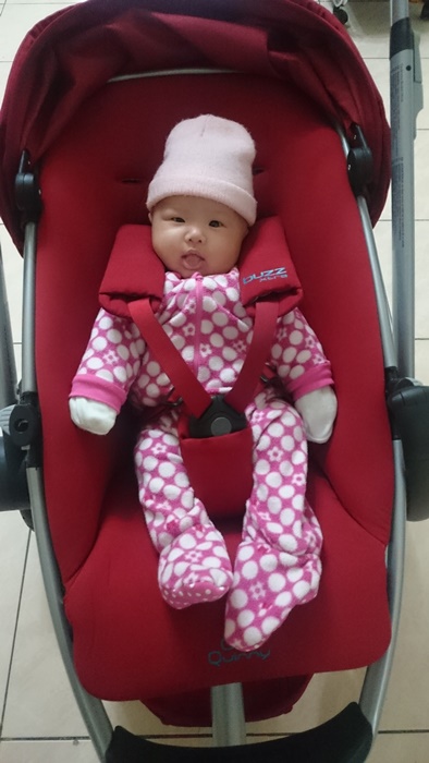 開箱】Quinny Buzz Xtra 2015 嬰兒推車 & Maxi-Cosi Pebble Plus 2015 提籃 不專業開箱