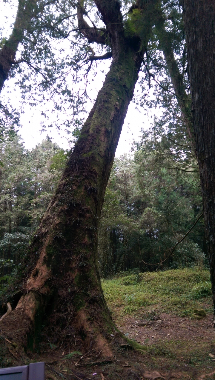 2015/2/20-21阿里山機車露營