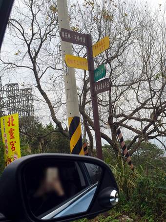 新年愛加倍樹林後花園賞櫻