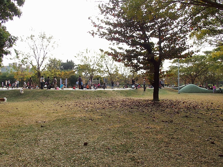 高雄衛武營悠悠哉哉過新年