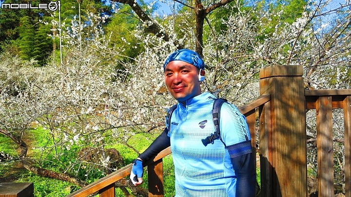 南投賞梅~烏松崙、風櫃斗、牛稠坑