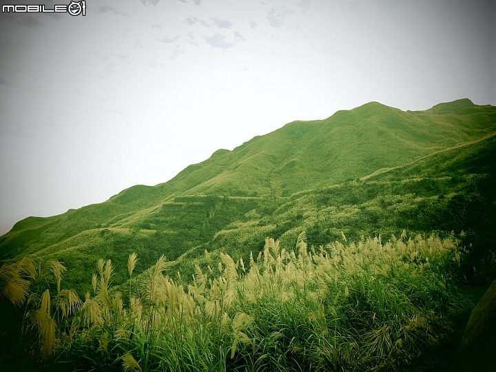 忙芒茫~茶壺山、不厭亭、五分山..經典208