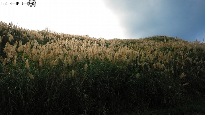忙芒茫~茶壺山、不厭亭、五分山..經典208