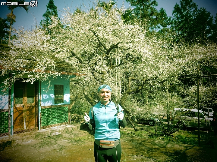 南投賞梅~烏松崙、風櫃斗、牛稠坑