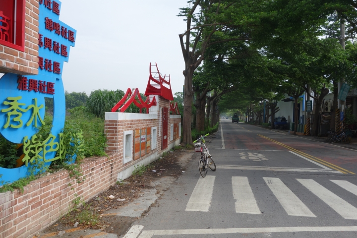 冬季花海限定版,彰化,秀水小旅行,
