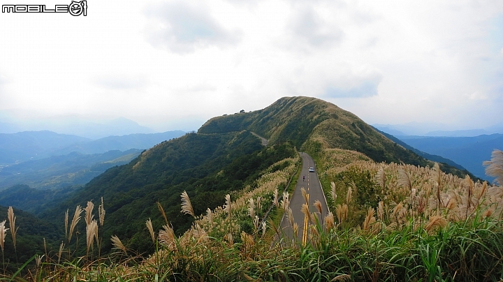 忙芒茫~茶壺山、不厭亭、五分山..經典208