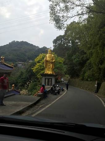 新年愛加倍樹林後花園賞櫻