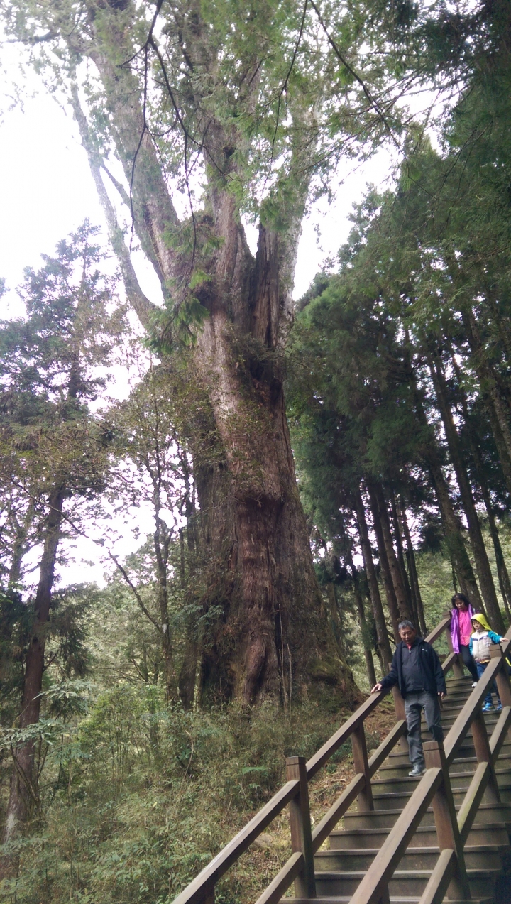 2015/2/20-21阿里山機車露營