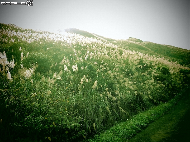 忙芒茫~茶壺山、不厭亭、五分山..經典208
