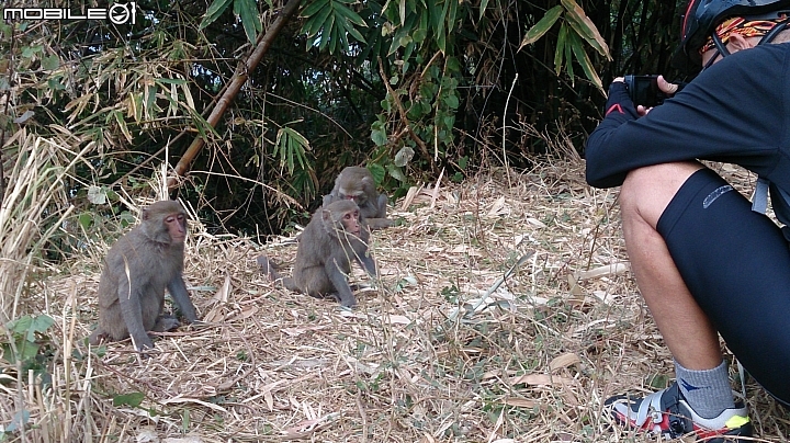 來一趟散心之旅 單人十六日環島(3/1 更新至end)