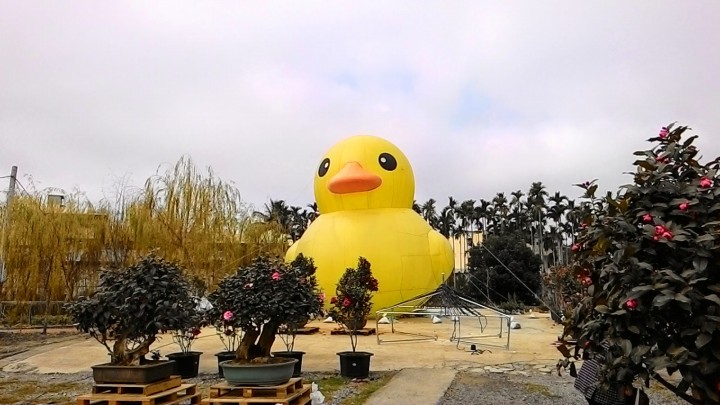 來一趟散心之旅 單人十六日環島(3/1 更新至end)