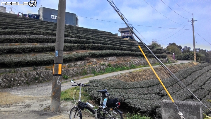 行動派~2+2方式~騎陽春七速小折,挑戰雲嘉二尖山!