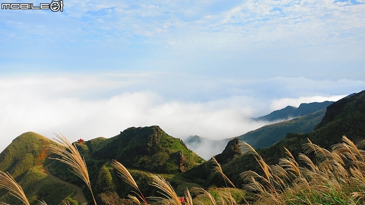 忙芒茫~茶壺山、不厭亭、五分山..經典208