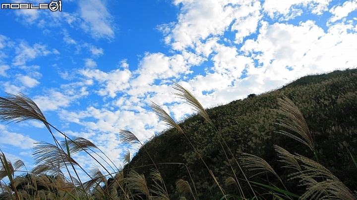 忙芒茫~茶壺山、不厭亭、五分山..經典208