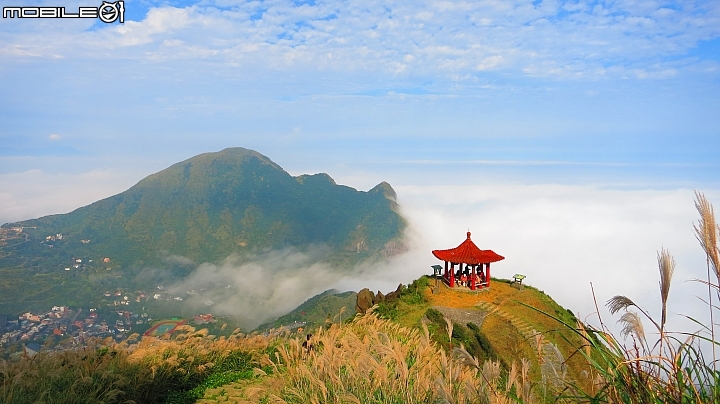 忙芒茫~茶壺山、不厭亭、五分山..經典208
