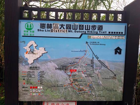 新年愛加倍樹林後花園賞櫻