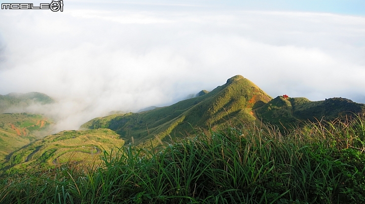 忙芒茫~茶壺山、不厭亭、五分山..經典208