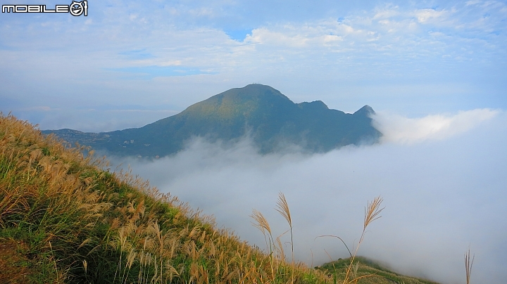 忙芒茫~茶壺山、不厭亭、五分山..經典208