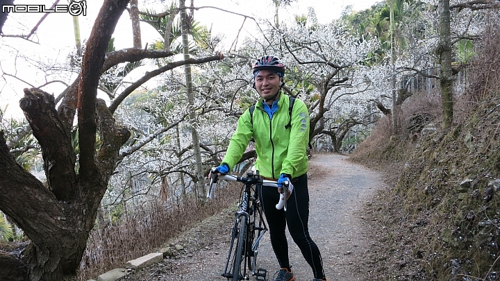 南投賞梅~烏松崙、風櫃斗、牛稠坑