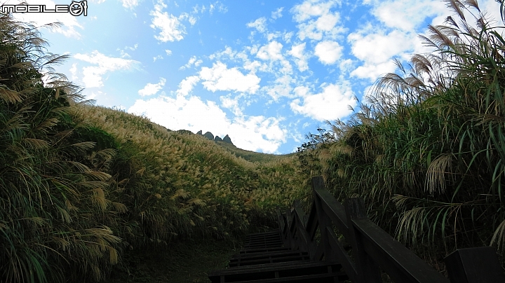忙芒茫~茶壺山、不厭亭、五分山..經典208