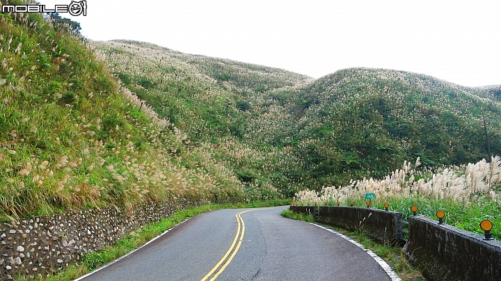 忙芒茫~茶壺山、不厭亭、五分山..經典208