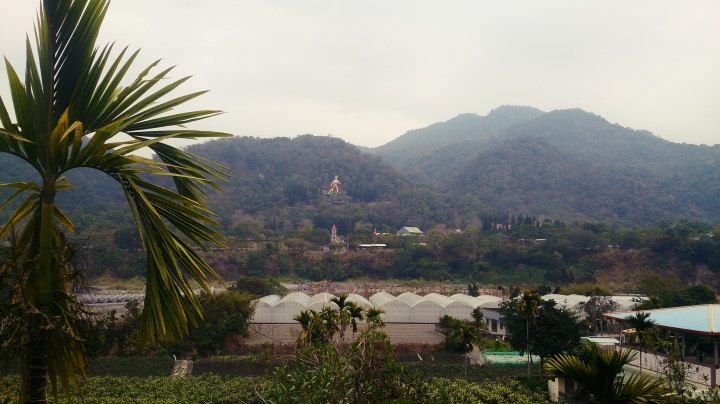 肥吱吱與綠胖胖之來去南投住一晚(二月重機小旅行)
