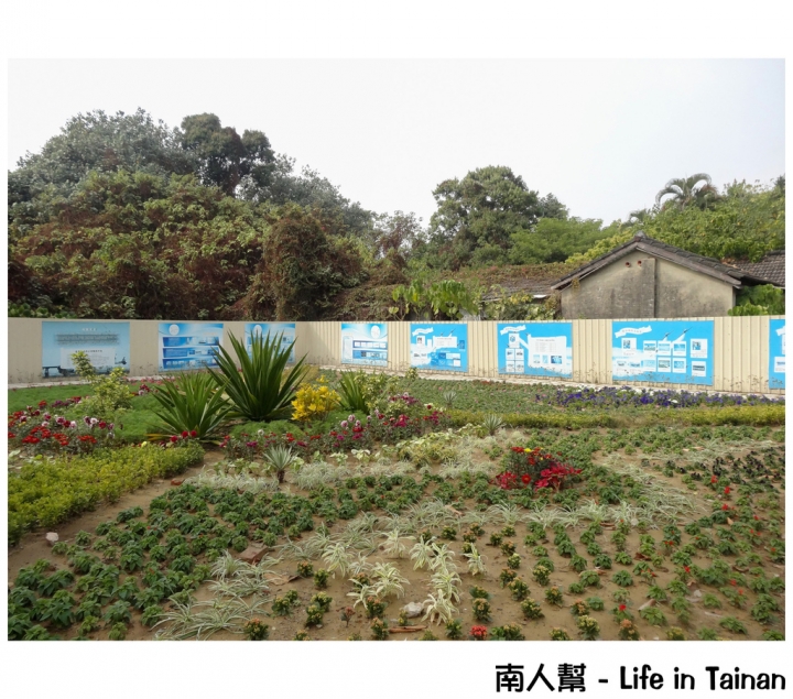 【台南市活動】有小綿羊和飛機的陪伴 # 2015百花祭 水交社公園 #
