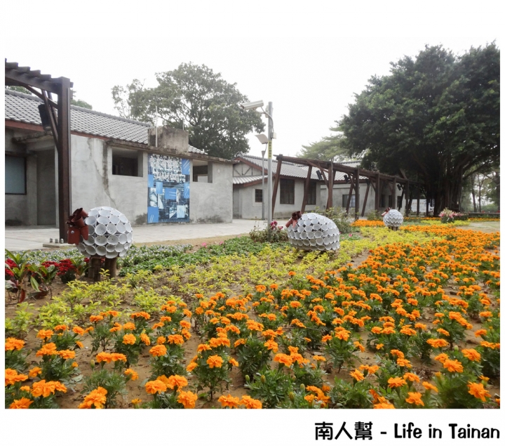【台南市活動】有小綿羊和飛機的陪伴 # 2015百花祭 水交社公園 #