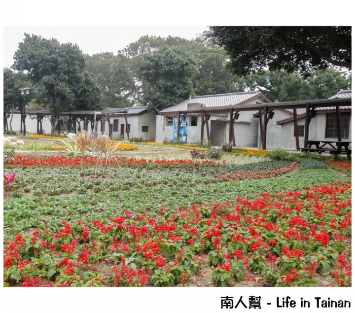 【台南市活動】有小綿羊和飛機的陪伴 # 2015百花祭 水交社公園 #
