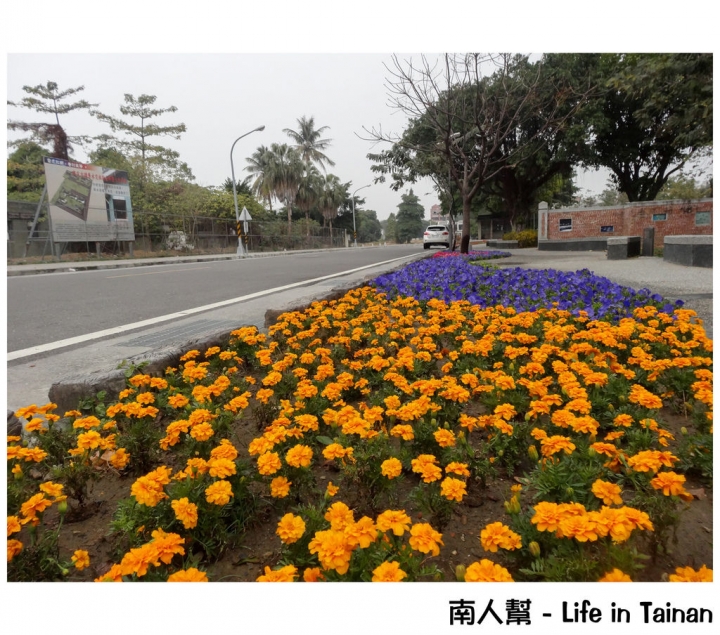 【台南市活動】有小綿羊和飛機的陪伴 # 2015百花祭 水交社公園 #