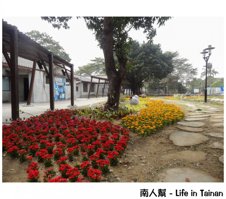 【台南市活動】有小綿羊和飛機的陪伴 # 2015百花祭 水交社公園 #