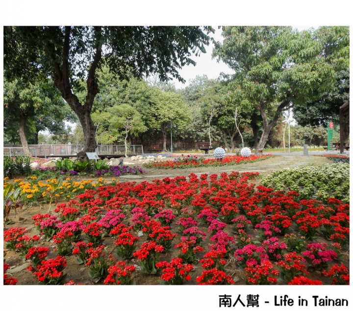 【台南市活動】有小綿羊和飛機的陪伴 # 2015百花祭 水交社公園 #