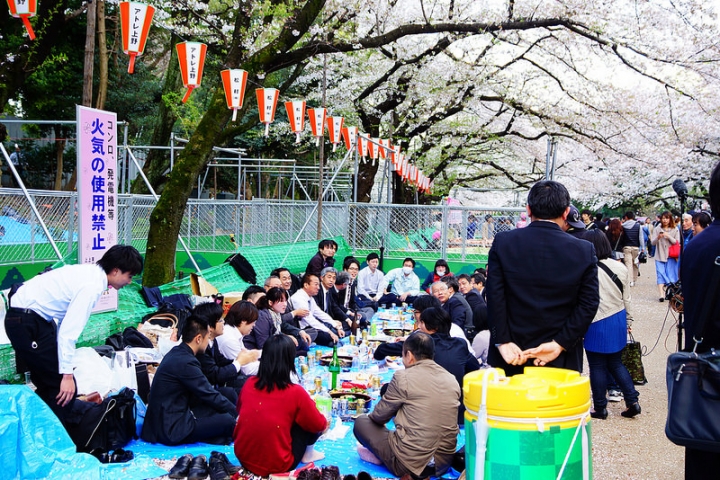 【東京賞櫻】萬頭鑽動的櫻花名見所 100 選~上野公園