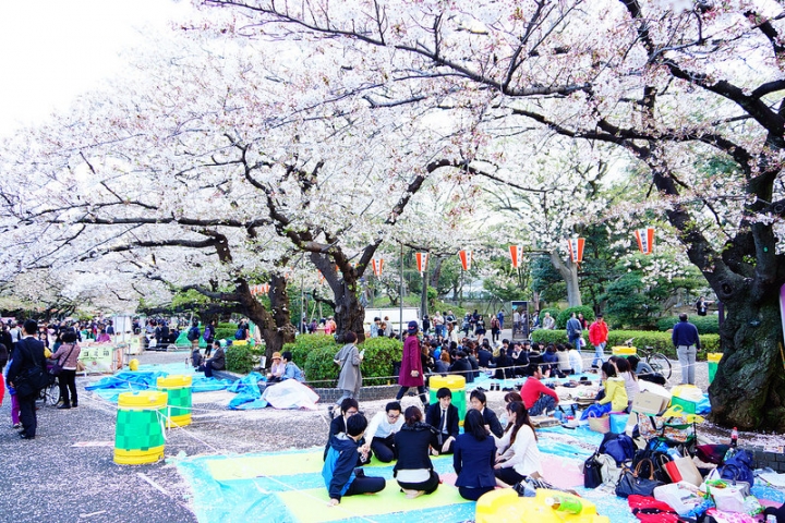 【東京賞櫻】萬頭鑽動的櫻花名見所 100 選~上野公園