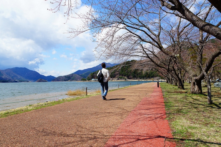 【東京賞櫻】萬頭鑽動的櫻花名見所 100 選~上野公園