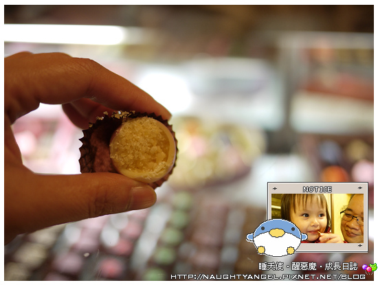 驚為天人的Nina巧克力,獨一無二的跳跳糖口味~