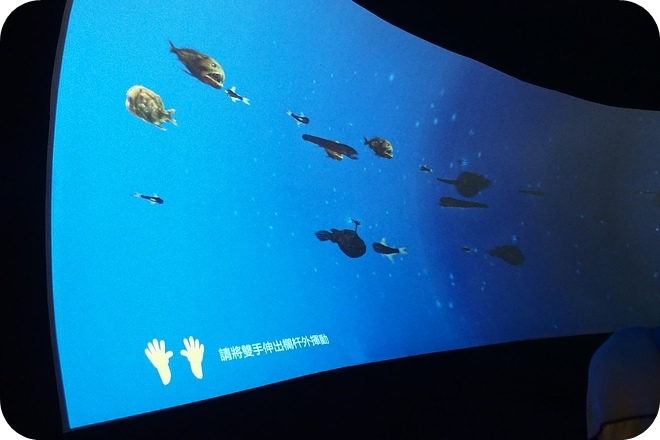 【基隆親子景點】出乎意料,精彩好玩的基隆國立海洋科學博物館