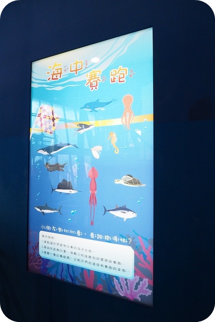 【基隆親子景點】出乎意料,精彩好玩的基隆國立海洋科學博物館