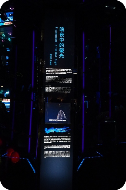 【基隆親子景點】出乎意料,精彩好玩的基隆國立海洋科學博物館