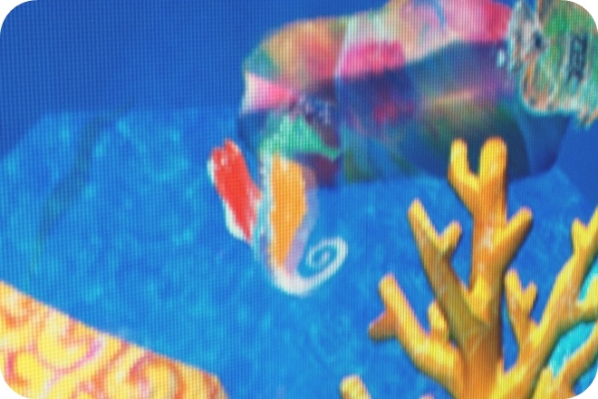 【基隆親子景點】出乎意料,精彩好玩的基隆國立海洋科學博物館