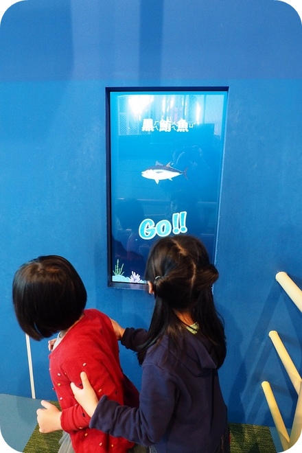【基隆親子景點】出乎意料,精彩好玩的基隆國立海洋科學博物館