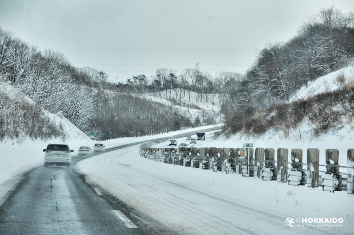 【D750 + D700】2015 冬の北海道~(圖多)