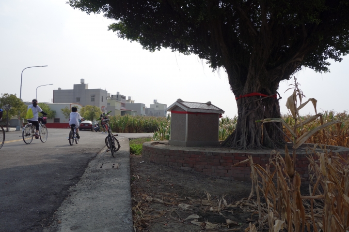 2015年,唸戀學甲之蜀葵花季小旅行,
