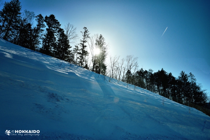 【D750 + D700】2015 冬の北海道~(圖多)
