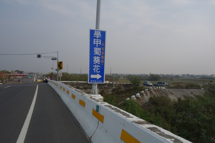 2015年,唸戀學甲之蜀葵花季小旅行,