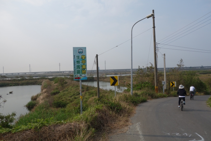 2015年,唸戀學甲之蜀葵花季小旅行,