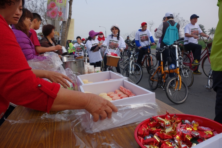 2015年,唸戀學甲之蜀葵花季小旅行,