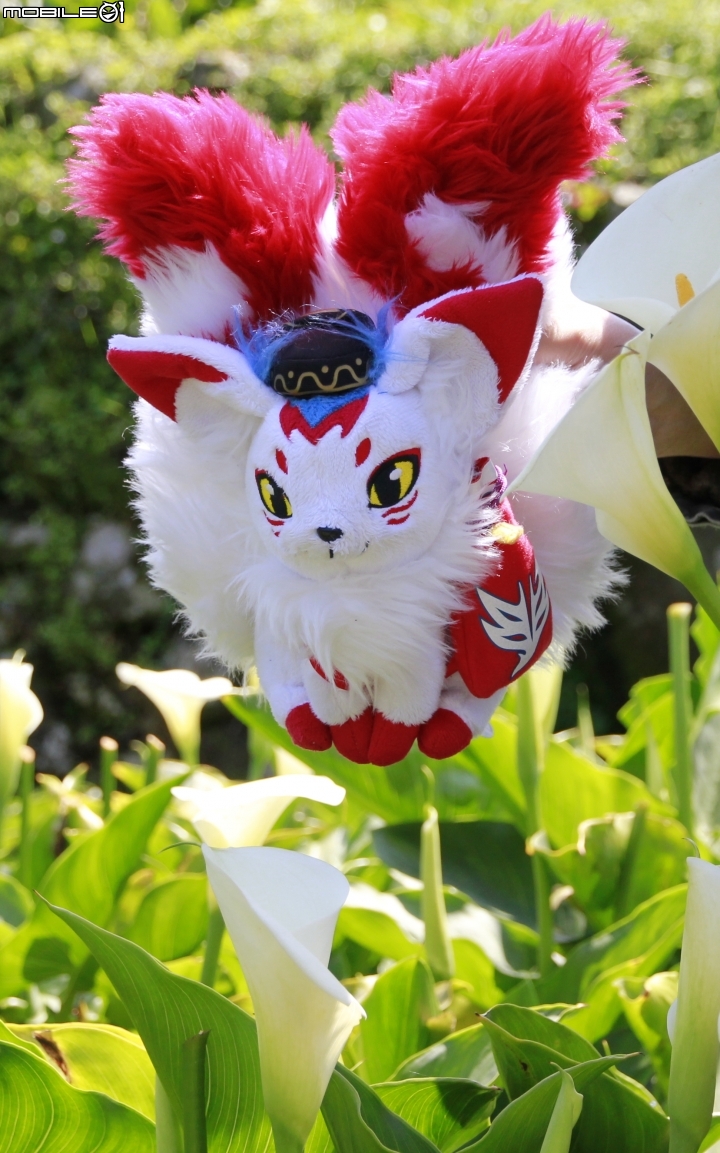 海芋花季一時遊(?)