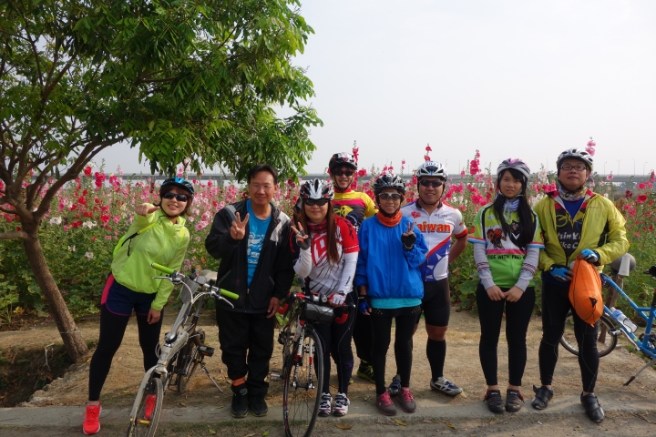 2015年,唸戀學甲之蜀葵花季小旅行,